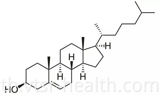 Plnat Cholesterol